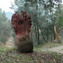 Matollada de creus [3]