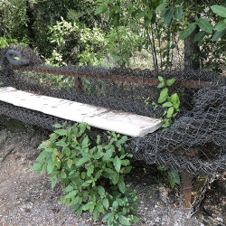 El banc d’en toyo ito