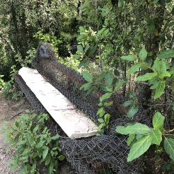 El banc d’en toyo ito [3]