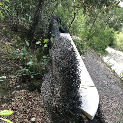 El banc d’en toyo ito [5]