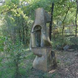 FORA BOSC